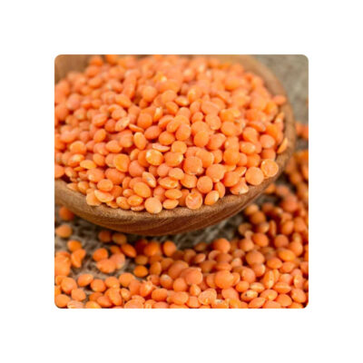 Wholesale Private Label Common Cultivation AD Dried Red Lentils 25kg Bag 24 Months Shelf Life UA Origin Model 002