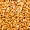 High Quality Roasted Peanuts in Bulk