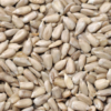 Raw Black Oil Indian Sunflower Seeds Kernels
