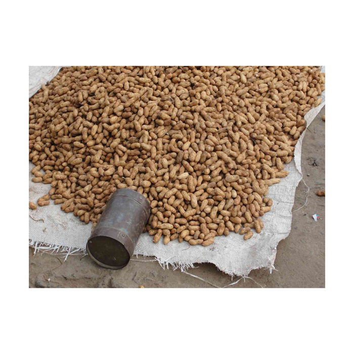 Aecb0847ac68947eb9422414bdf5f68d89 Raw Dried Peanuts High Quality Ready to Eat
