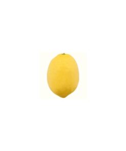 Fresh Lemon Bulk Supply