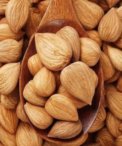 High Quality Almond Nuts