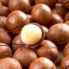 High-quality Dried Blanched Macadamia