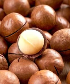 High-quality Dried Blanched Macadamia