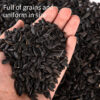 Large-kernel Sunflower Seeds for Birds