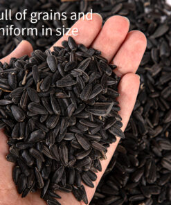 Large-kernel Sunflower Seeds for Birds