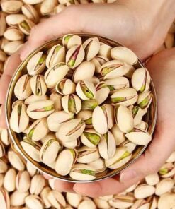nuts pistachio bulk supply