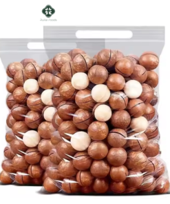 China high quality 500g Macadamia nuts