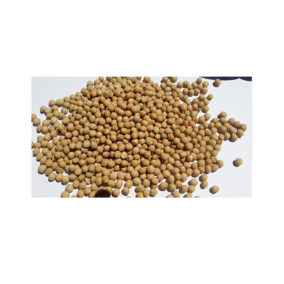 Dry Pigeon Peas From Ethiopia in Bulk