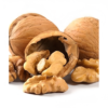 Bulk Premium Walnuts Extra Light to Light Amber