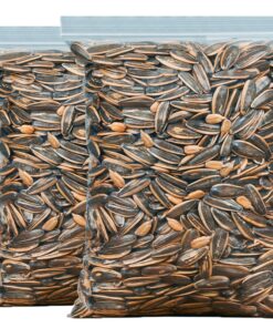 Wholesale Chinese High Quality 500g Melon Seeds