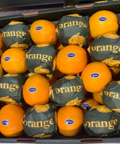 Best Selling China Fresh Navel Orange