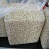 Wholesale Raw Cashew Nuts