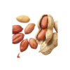 Bulk supply peanuts wholesale cheap price