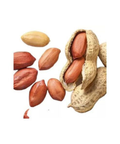 Bulk supply peanuts wholesale cheap price