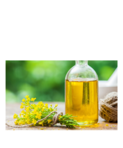 Discount Price Canola Oil Bulk