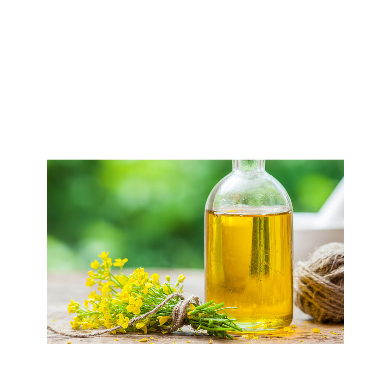 discount-price-canola-oil-available-for-large-scale-resale-and-trade-demand0-0938333001775737181 Discount Price Canola Oil Bulk