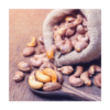 Fresh cashew nuts wholesale