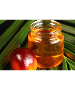 High Quality Palm Oil Bulk Supply