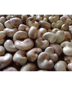 Natural cashew nuts kernel wholesale bulk sale