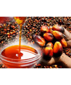 Bulk Palm Oil Sale