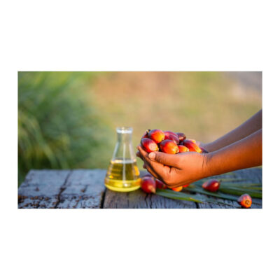 Palm Oil Supplied At Cheap Price For Large Quantity Purchase And Continuous Bulk Trade