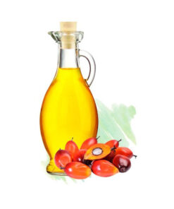 Palm Oil Wholesale Bulk Supply