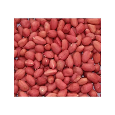 Peanuts Wholesale Bulk Supply Affordable Price High Grade Nuts