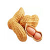 Peanuts wholesale bulk supply discount price