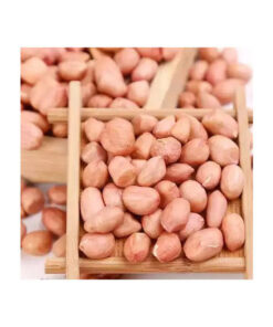 Premium peanuts bulk supply wholesale affordable price