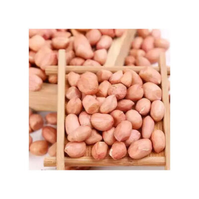 Premium Peanuts Bulk Supply Wholesale Affordable Price Fresh Bulk