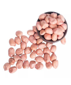 premium peanuts bulk supply wholesale cheap price