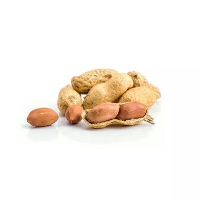 Red Skin Peanuts / Blanched Peanut Kernels / Roasted And Salted Redskin Peanuts