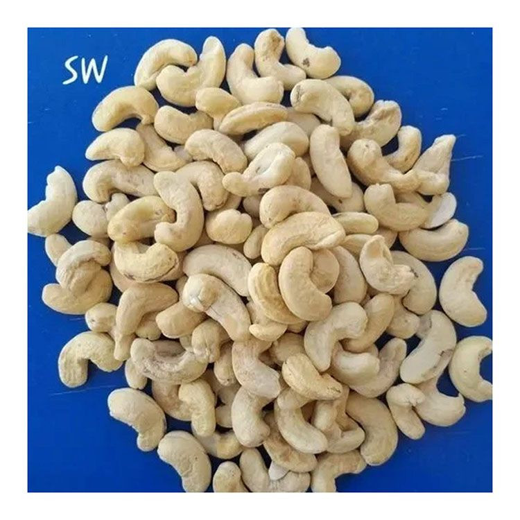 reliable-cashew-nuts-wholesale-bulk-supply-premium-nuts-delivery1-0053052001775738610