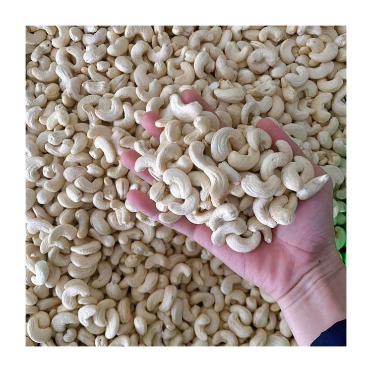 reliable-cashew-nuts-wholesale-bulk-supply-premium-nuts-delivery4-0253012001775738610