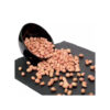 Wholesale peanuts bulk supply cheap price