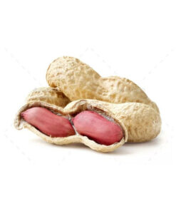 Bulk supply peanuts wholesale prices