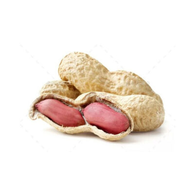 Bulk Supply Peanuts Wholesale Fast Delivery Premium Quality Exporter