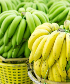 Fresh G9 Bananas