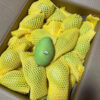 Direct Exported Young Fresh Mangoes From Vietnam