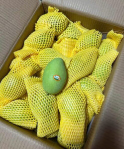 Direct Exported Young Fresh Mangoes From Vietnam