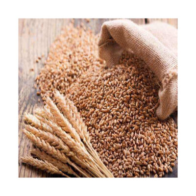 Wholesale High Quality Dried Whole Wheat Grain Bulk US Origin 2 Year Shelf Life Cheap Price Available