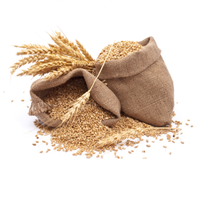 Organic Durum Wheat Grain France Origin 24 Months Shelf Life for Cooking Baking-Reliable Supplier Stock Bulk Fast Delivery Low