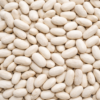 Wholesale Bulk White Kidney Bean