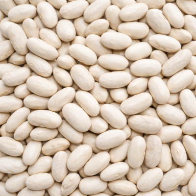 Wholesale Bulk White Kidney Bean Phaseolus Dried Bai Yun Dou Factory Direct Lab-Tested Stable Supply Chain Premium Grade