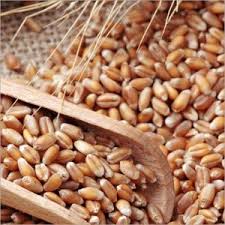 Wholesale Grains Supplier