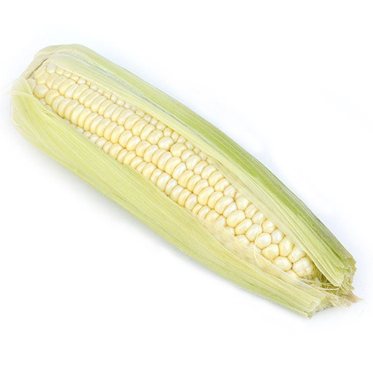 Aa1b9099648dc40648179aa358c31059fe