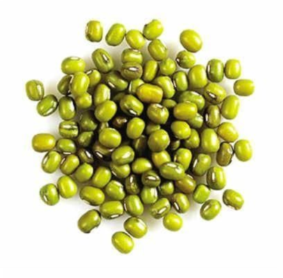 Super Quality High Grade Green Mung Beans (Dal) GMO-Free Dried Cowpea Vigna Beans 3.8mm India Origin Rajasthan 50kg Bulk