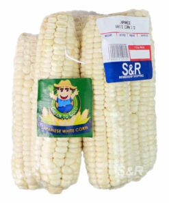 Brazilian Bulk Grain White Corn Kernel