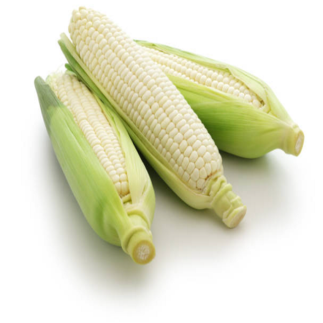 Aba23a426af7e4bf586230b65c5d35101T